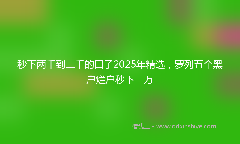 秒下两千到三千的口子2025年精选，罗列五个黑户烂户秒下一万