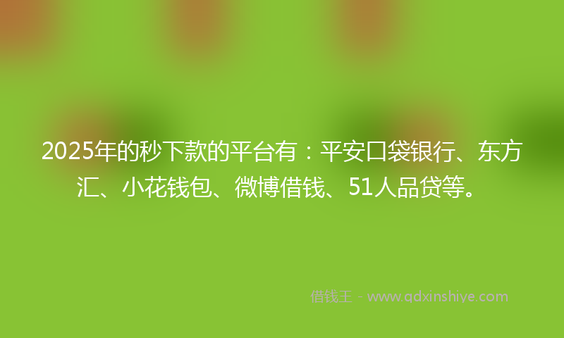 2025年的秒下款的平台有：平安口袋银行、东方汇、小花钱包、微博借钱、51人品贷等。