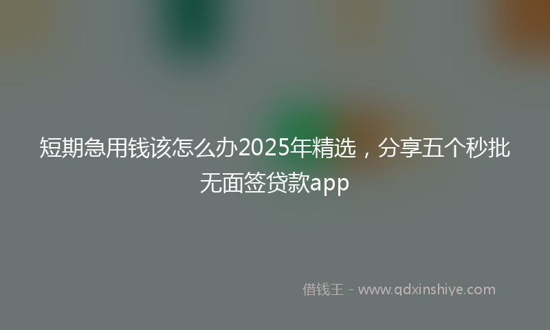 短期急用钱该怎么办2025年精选，分享五个秒批无面签贷款app