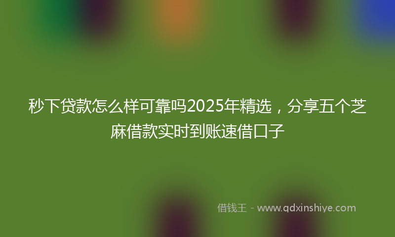 秒下贷款怎么样可靠吗2025年精选，分享五个芝麻借款实时到账速借口子