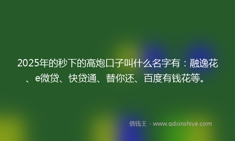 2025年的秒下的高炮口子叫什么名字有：融逸花、e微贷、快贷通、替你还、百度有钱花等。