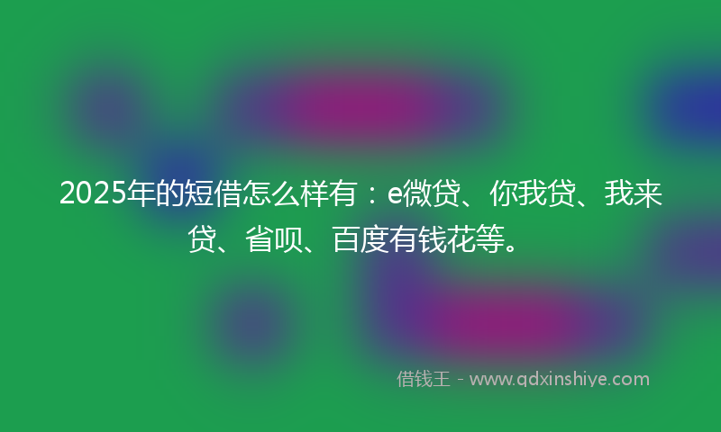 2025年的短借怎么样有：e微贷、你我贷、我来贷、省呗、百度有钱花等。