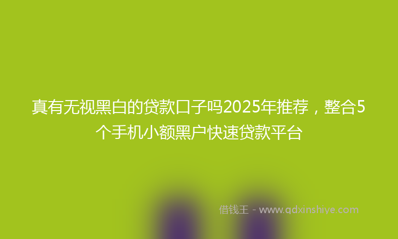 真有无视黑白的贷款口子吗2025年推荐，整合5个手机小额黑户快速贷款平台