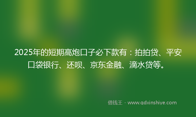 2025年的短期高炮口子必下款有：拍拍贷、平安口袋银行、还呗、京东金融、滴水贷等。