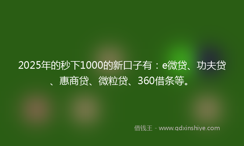 2025年的秒下1000的新口子有：e微贷、功夫贷、惠商贷、微粒贷、360借条等。