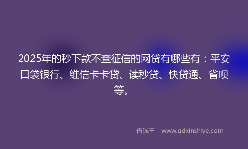 2025年的秒下款不查征信的网贷有哪些有：平安口袋银行、维信卡卡贷、读秒贷、快贷通、省呗等。