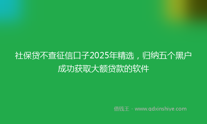 社保贷不查征信口子2025年精选，归纳五个黑户成功获取大额贷款的软件