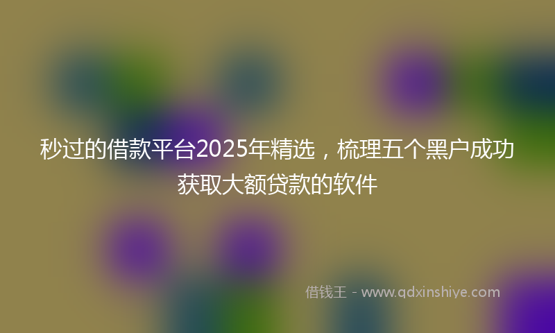 秒过的借款平台2025年精选，梳理五个黑户成功获取大额贷款的软件