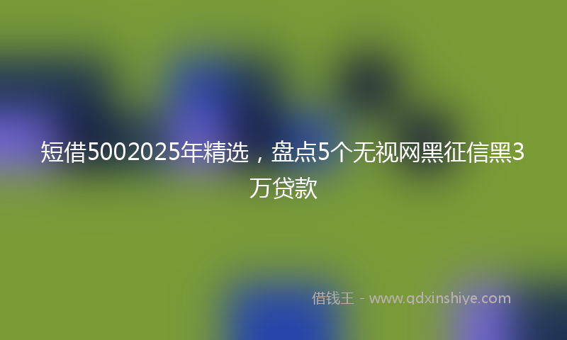 短借5002025年精选，盘点5个无视网黑征信黑3万贷款