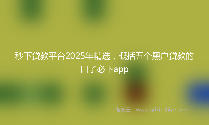 秒下贷款平台2025年精选，概括五个黑户贷款的口子必下app