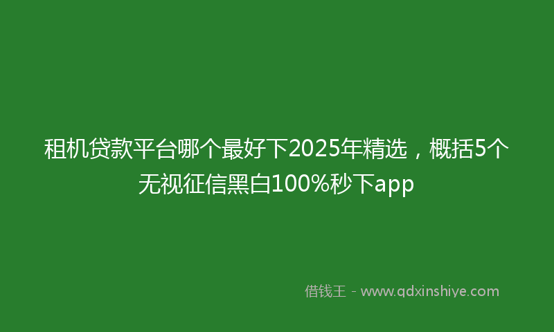 租机贷款平台哪个最好下2025年精选，概括5个无视征信黑白100%秒下app