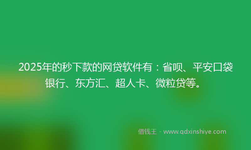 2025年的秒下款的网贷软件有：省呗、平安口袋银行、东方汇、超人卡、微粒贷等。