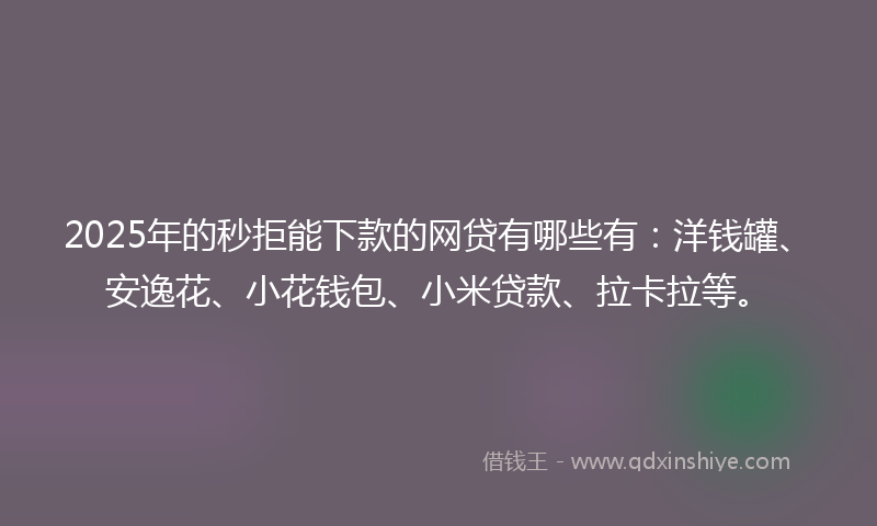 2025年的秒拒能下款的网贷有哪些有：洋钱罐、安逸花、小花钱包、小米贷款、拉卡拉等。