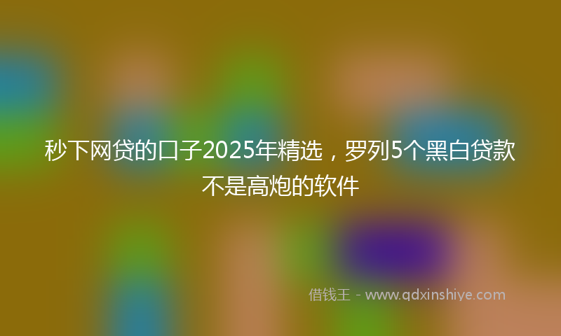 秒下网贷的口子2025年精选，罗列5个黑白贷款不是高炮的软件