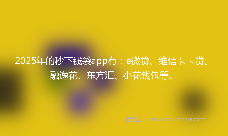 2025年的秒下钱袋app有：e微贷、维信卡卡贷、融逸花、东方汇、小花钱包等。