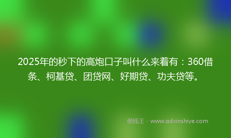 2025年的秒下的高炮口子叫什么来着有：360借条、柯基贷、团贷网、好期贷、功夫贷等。