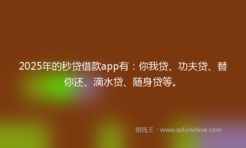 2025年的秒贷借款app有：你我贷、功夫贷、替你还、滴水贷、随身贷等。