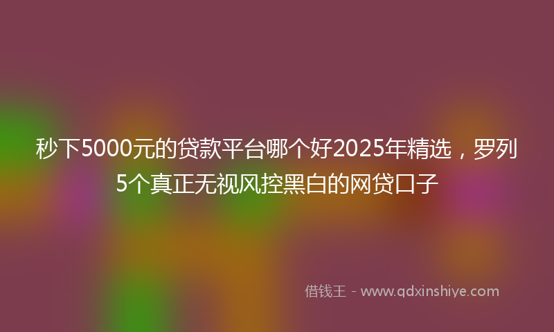 秒下5000元的贷款平台哪个好2025年精选，罗列5个真正无视风控黑白的网贷口子