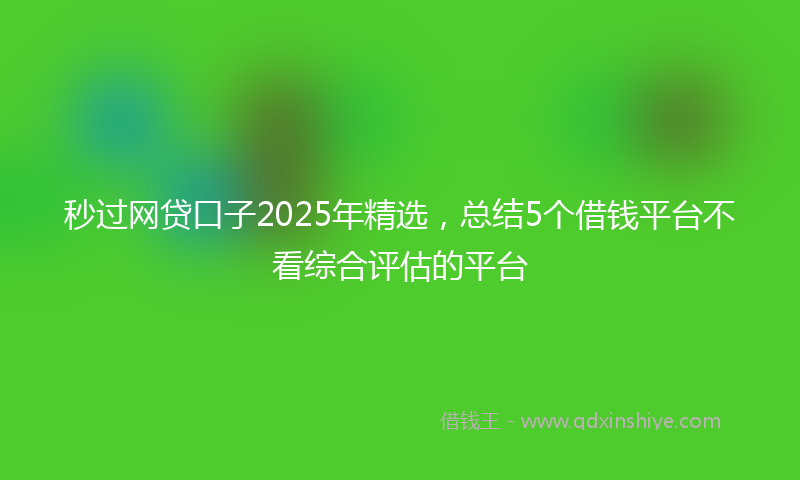 秒过网贷口子2025年精选，总结5个借钱平台不看综合评估的平台
