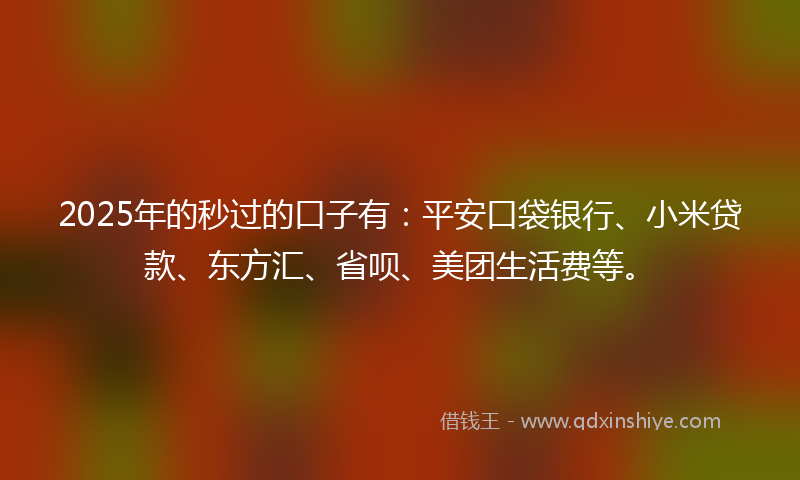 2025年的秒过的口子有：平安口袋银行、小米贷款、东方汇、省呗、美团生活费等。