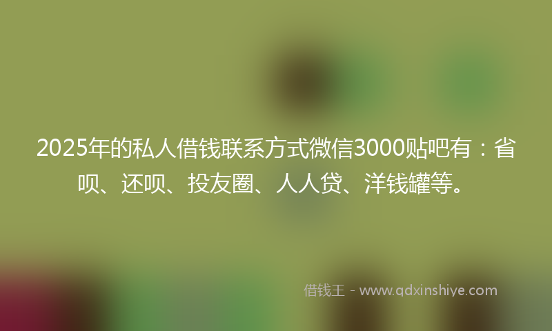 2025年的私人借钱联系方式微信3000贴吧有:省呗、还呗、投友圈、人人贷、洋钱罐等。