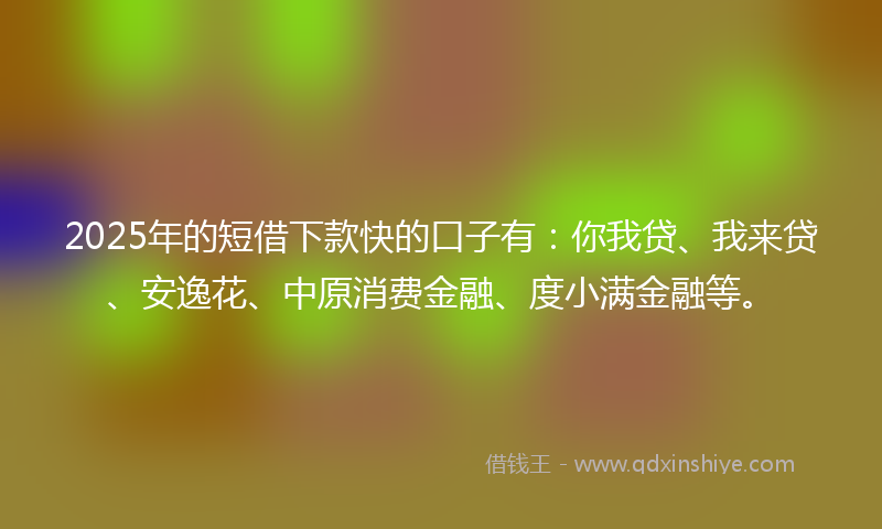 2025年的短借下款快的口子有：你我贷、我来贷、安逸花、中原消费金融、度小满金融等。