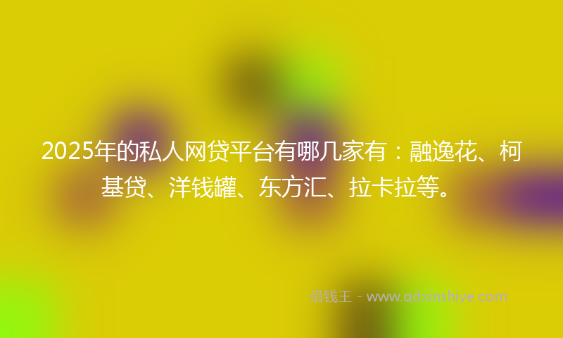 2025年的私人网贷平台有哪几家有：融逸花、柯基贷、洋钱罐、东方汇、拉卡拉等。