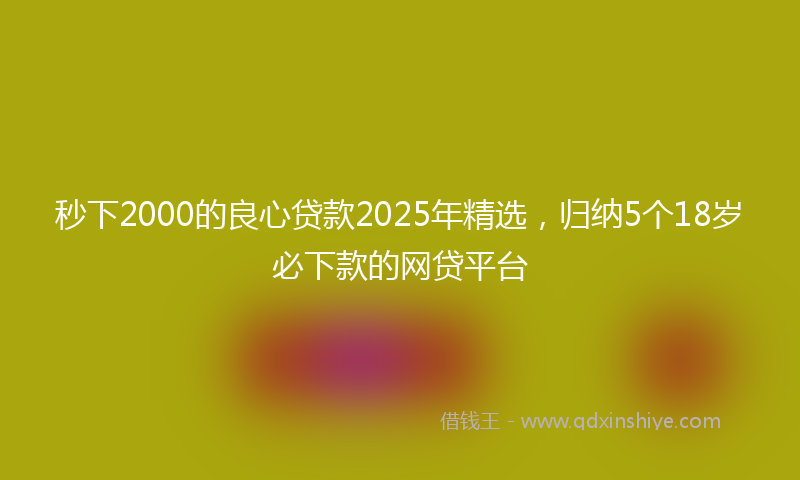 秒下2000的良心贷款2025年精选，归纳5个18岁必下款的网贷平台