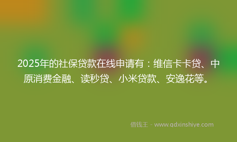 2025年的社保贷款在线申请有：维信卡卡贷、中原消费金融、读秒贷、小米贷款、安逸花等。