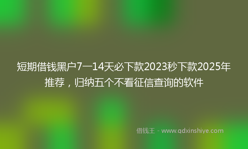 短期借钱黑户7一14天必下款2023秒下款2025年推荐，归纳五个不看征信查询的软件