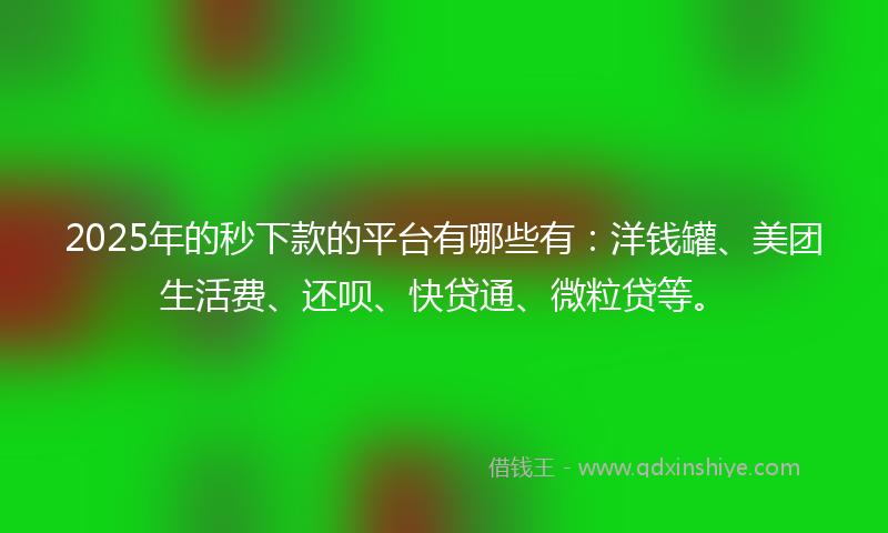 2025年的秒下款的平台有哪些有：洋钱罐、美团生活费、还呗、快贷通、微粒贷等。