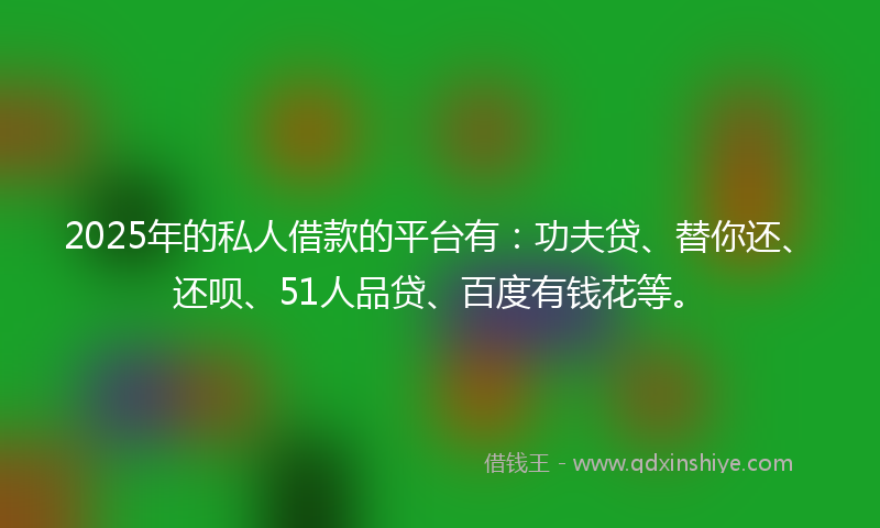 2025年的私人借款的平台有：功夫贷、替你还、还呗、51人品贷、百度有钱花等。