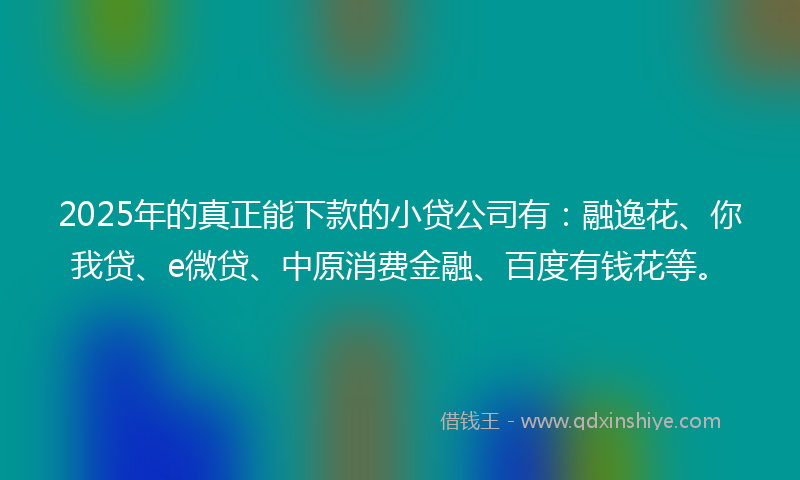 2025年的真正能下款的小贷公司有：融逸花、你我贷、e微贷、中原消费金融、百度有钱花等。