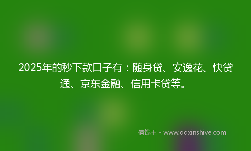 2025年的秒下款口子有：随身贷、安逸花、快贷通、京东金融、信用卡贷等。