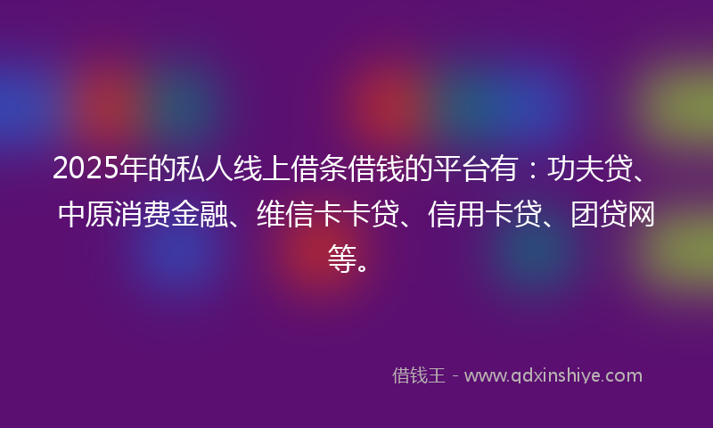 2025年的私人线上借条借钱的平台有：功夫贷、中原消费金融、维信卡卡贷、信用卡贷、团贷网等。