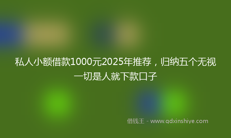 私人小额借款1000元2025年推荐，归纳五个无视一切是人就下款口子