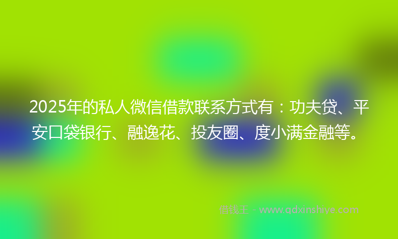 2025年的私人微信借款联系方式有：功夫贷、平安口袋银行、融逸花、投友圈、度小满金融等。