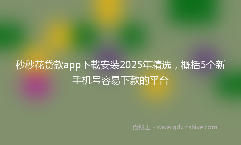 秒秒花贷款app下载安装2025年精选，概括5个新手机号容易下款的平台