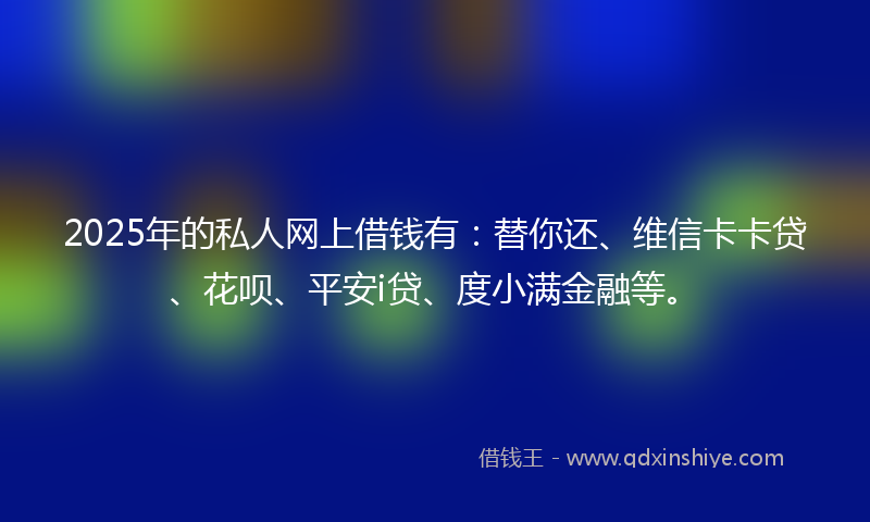 2025年的私人网上借钱有：替你还、维信卡卡贷、花呗、平安i贷、度小满金融等。