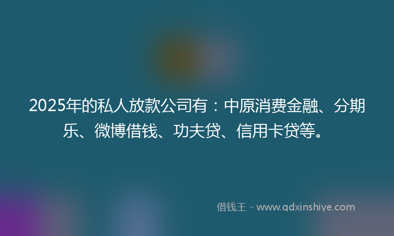 2025年的私人放款公司有：中原消费金融、分期乐、微博借钱、功夫贷、信用卡贷等。