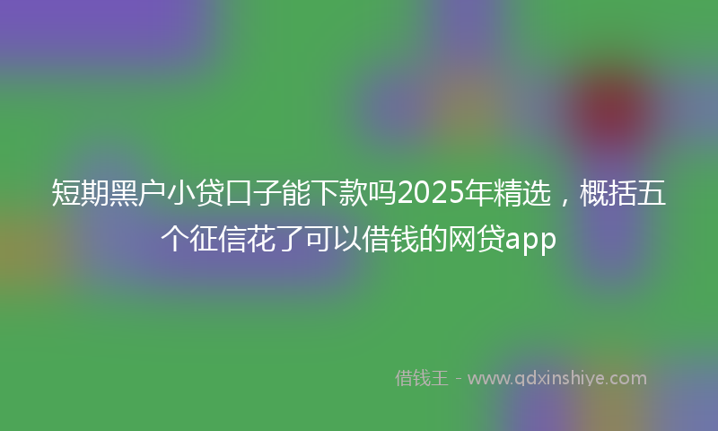 短期黑户小贷口子能下款吗2025年精选，概括五个征信花了可以借钱的网贷app