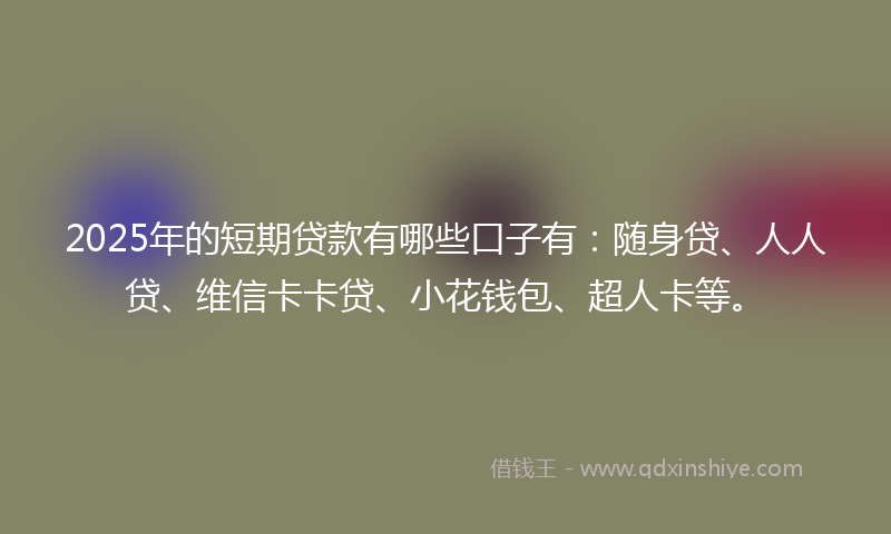 2025年的短期贷款有哪些口子有：随身贷、人人贷、维信卡卡贷、小花钱包、超人卡等。