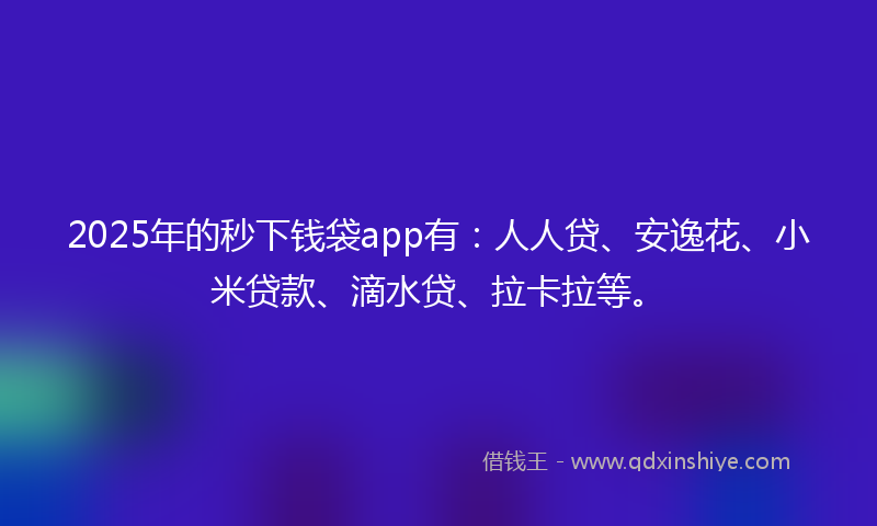 2025年的秒下钱袋app有：人人贷、安逸花、小米贷款、滴水贷、拉卡拉等。