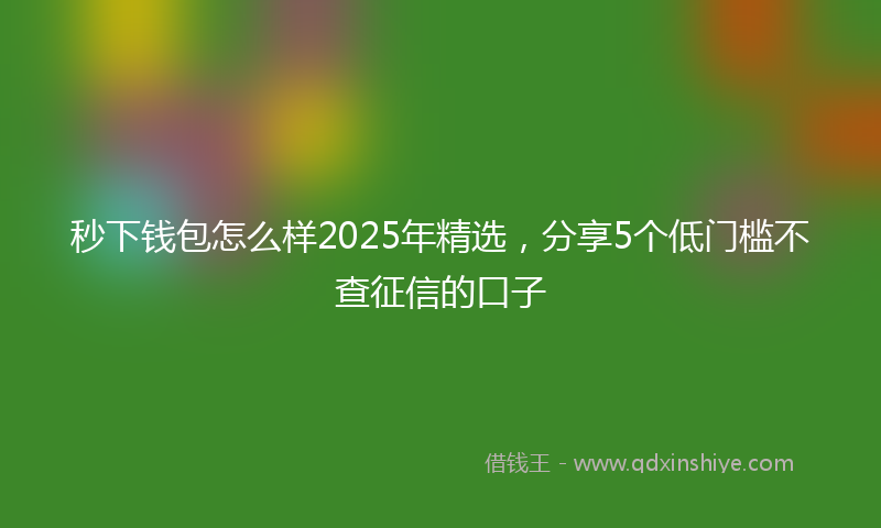 秒下钱包怎么样2025年精选，分享5个低门槛不查征信的口子