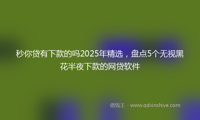 秒你贷有下款的吗2025年精选，盘点5个无视黑花半夜下款的网贷软件