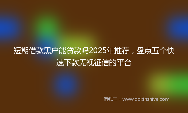 短期借款黑户能贷款吗2025年推荐，盘点五个快速下款无视征信的平台