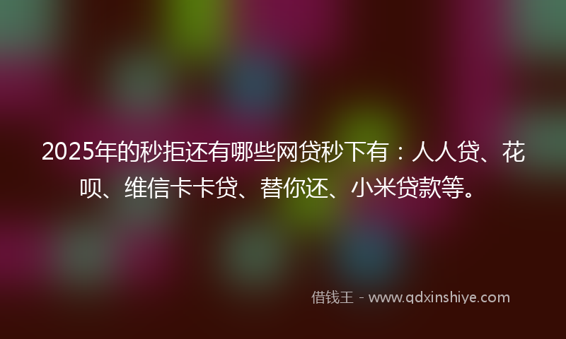 2025年的秒拒还有哪些网贷秒下有：人人贷、花呗、维信卡卡贷、替你还、小米贷款等。