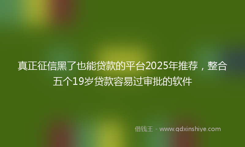 真正征信黑了也能贷款的平台2025年推荐，整合五个19岁贷款容易过审批的软件