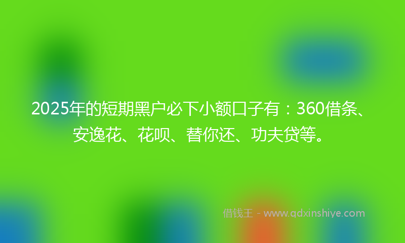 2025年的短期黑户必下小额口子有：360借条、安逸花、花呗、替你还、功夫贷等。