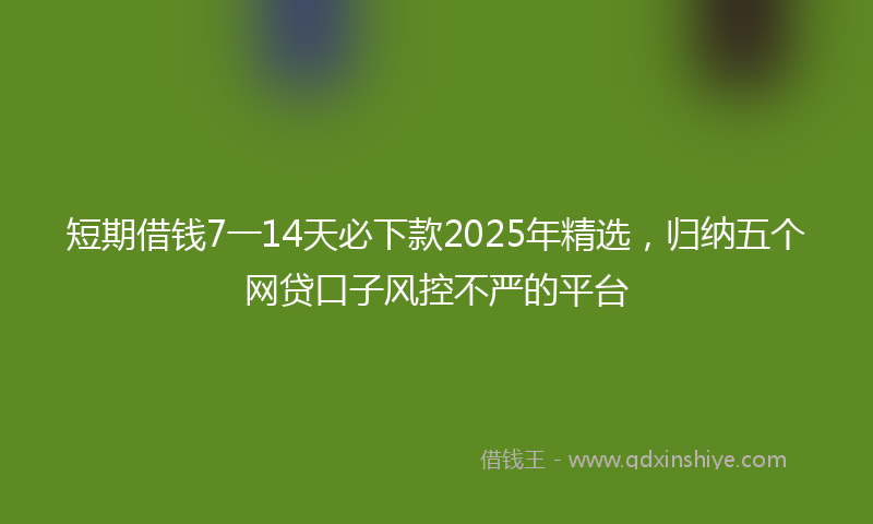 短期借钱7一14天必下款2025年精选，归纳五个网贷口子风控不严的平台